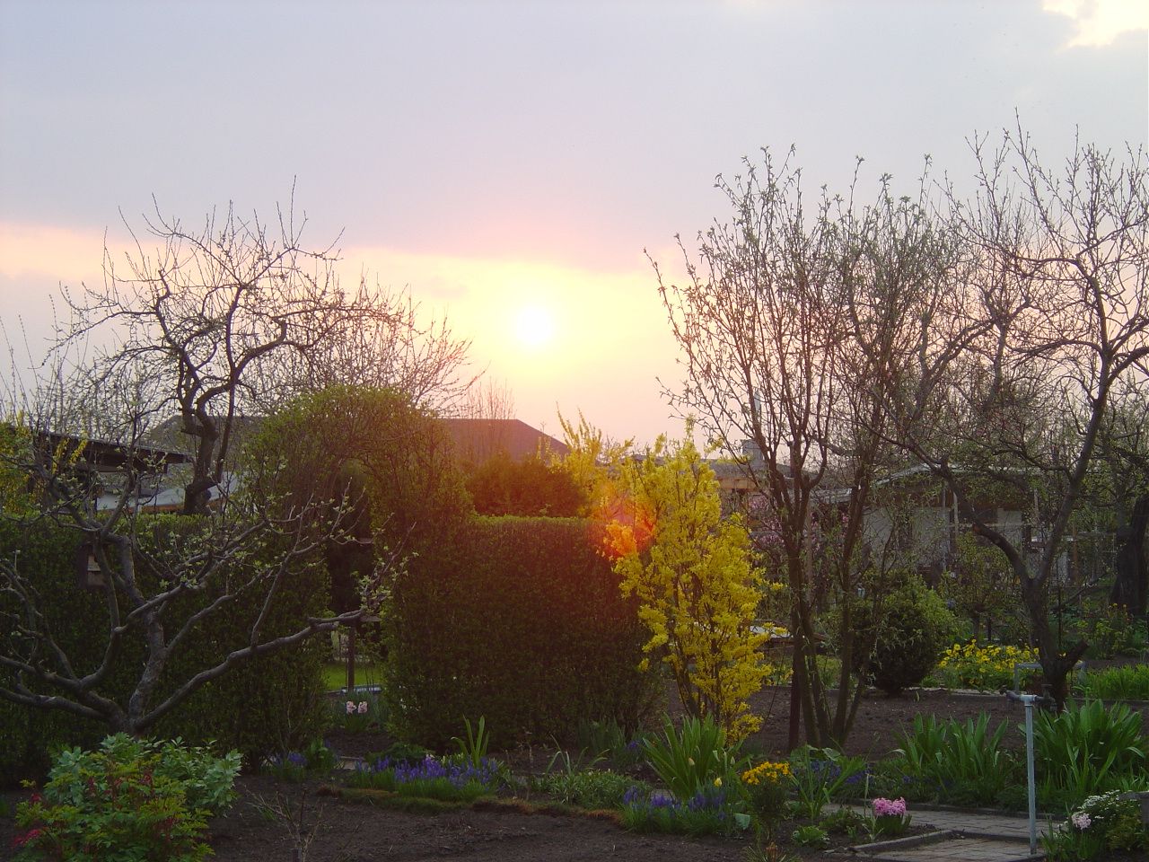 Garten in der Anlage im Abendlicht