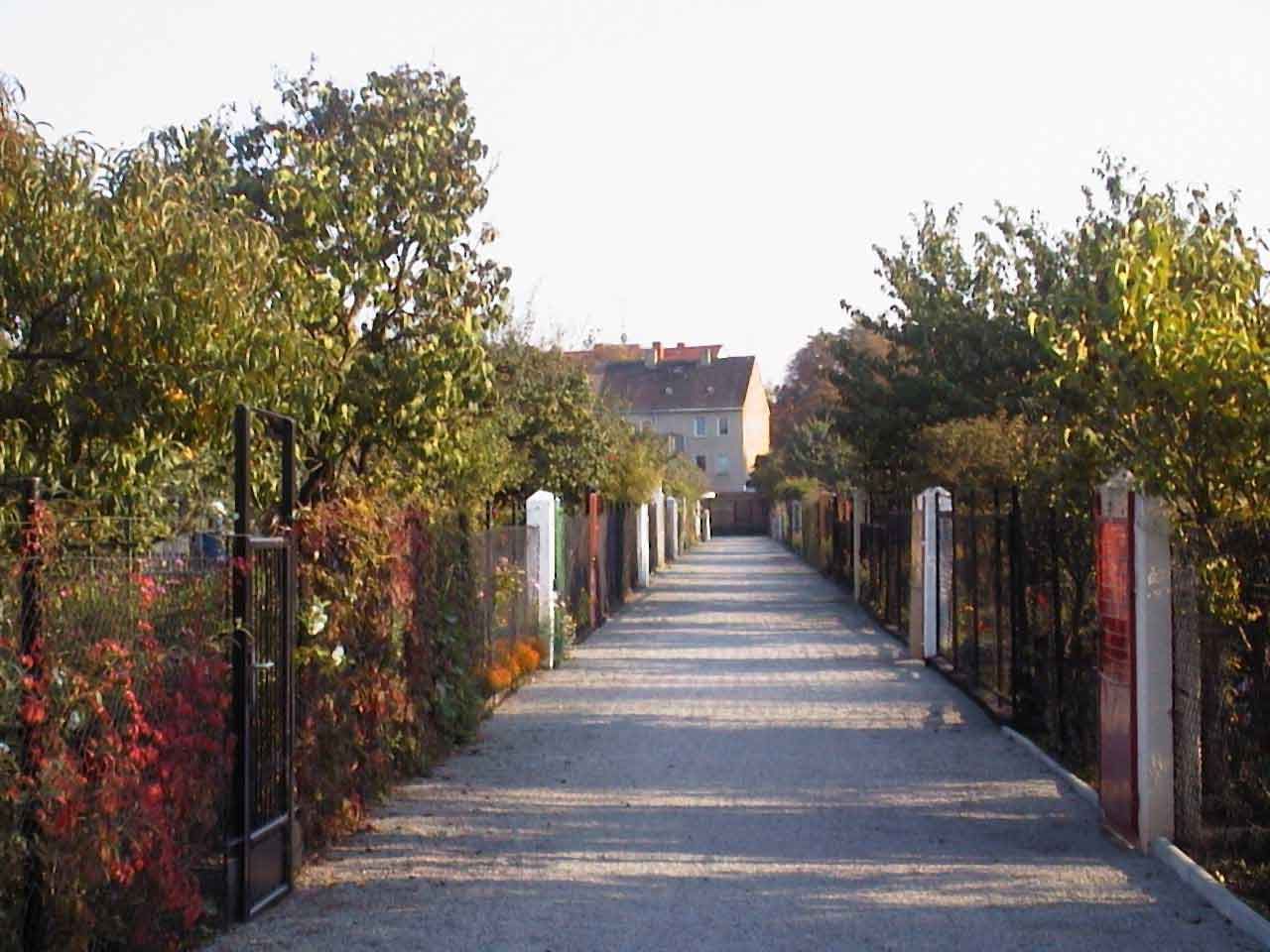 Gartenweg im Herbst